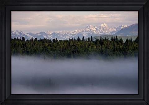 Framed Fog Print