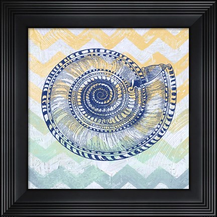 Framed Sea Creatures - Shell I Print