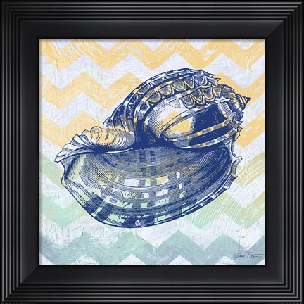 Framed Sea Creatures -Shell II Print