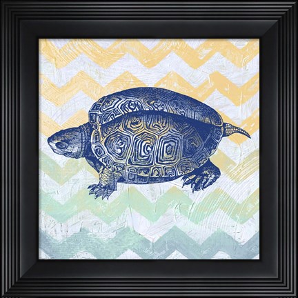 Framed Sea Creatures - Turtle Print