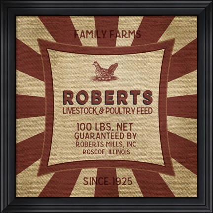 Framed Roberts Starburst Feed Sack Print