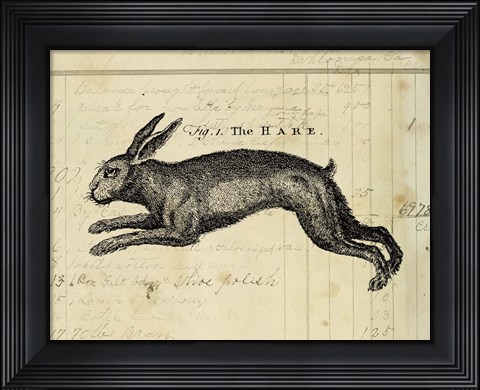Framed Hare Print