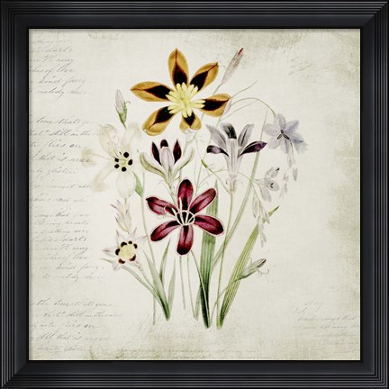 Framed Wild Flowers One Print