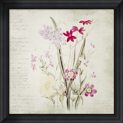 Framed Wild Flowers Two Print