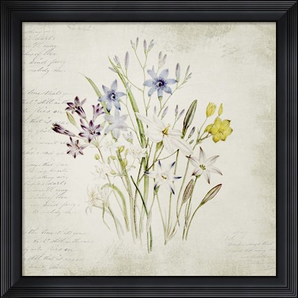 Framed Wild Flowers Three Print