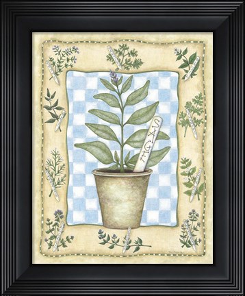 Framed Sage Print