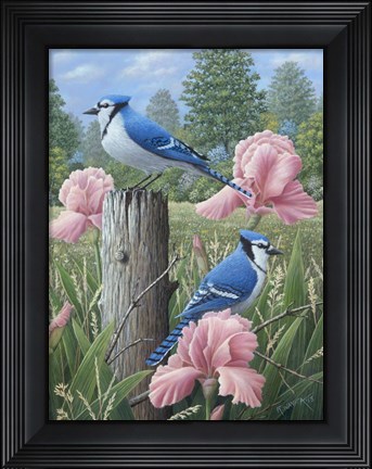Framed Blue Jays Print
