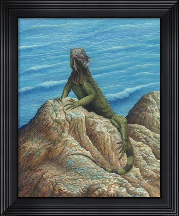 Framed Iguana Print