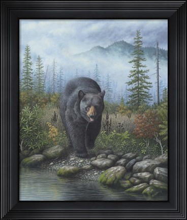 Framed Smoky Mountain Black Bear Print