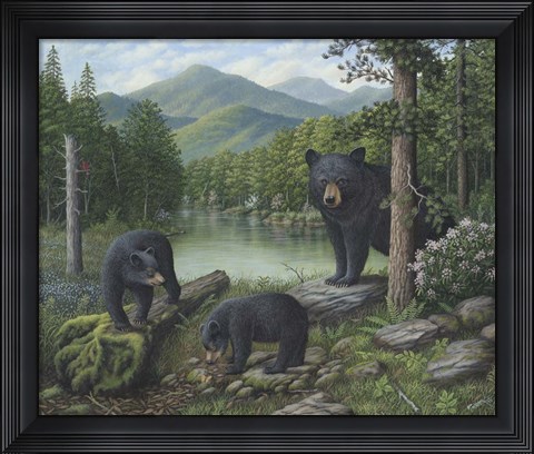 Framed Watching The Cubs Play Print