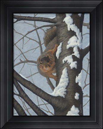 Framed What&#39;s Going On - Fox Squirrel Print