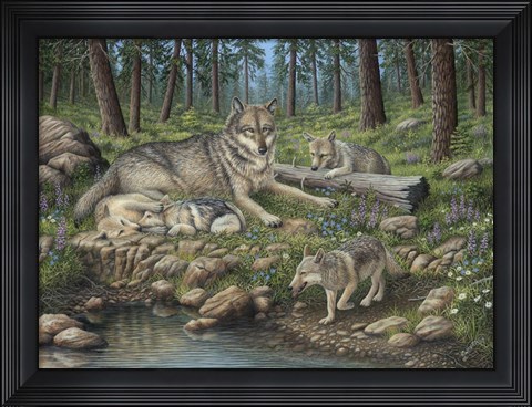Framed Grey Wolf Mother And Pups Print