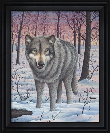 Framed Lone Wolf Print