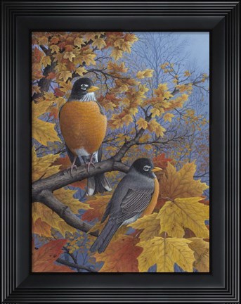 Framed Robins Print