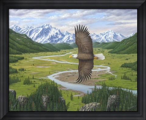Framed Soaring Above Print