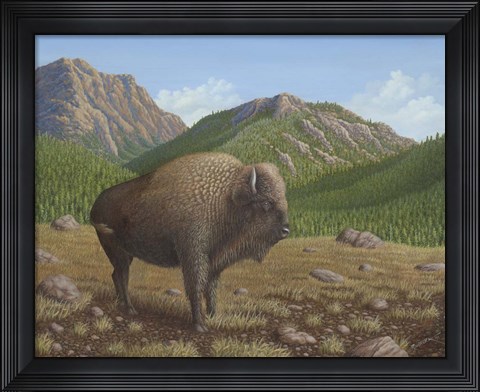 Framed Bison Print