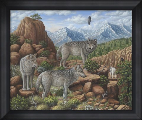 Framed Scouting the Horizon - Grey Wolves Print