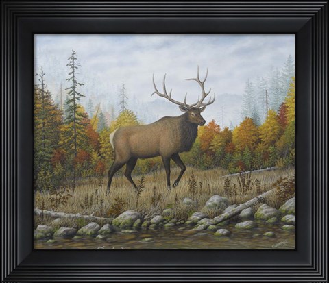 Framed Autumn Elk Print