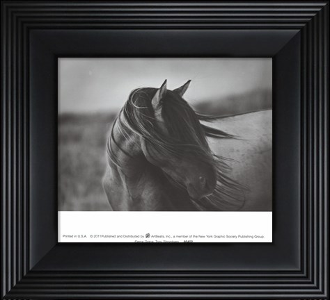 Framed Fierce Grace Print