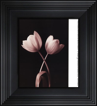 Framed Blush Tulip I Print