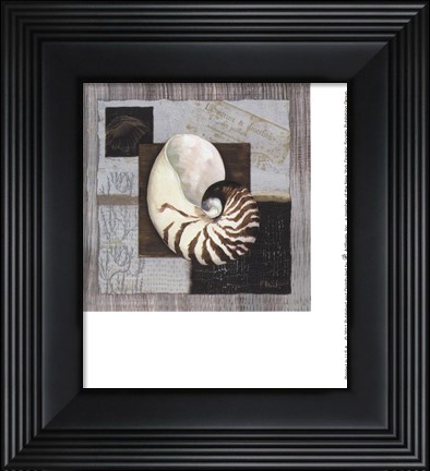 Framed Westport Nautilus Print