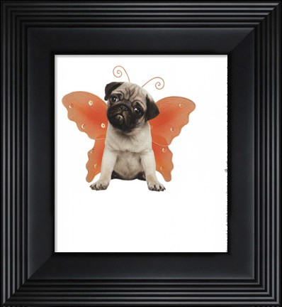 Framed Wings - Pug Print