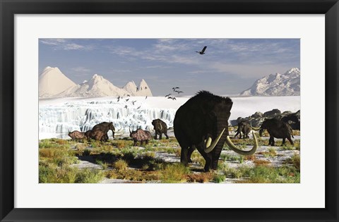 Framed Woolly Mammoths and Woolly Rhinos in a Prehistoric Landscape Print