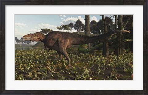 Framed Acrocanthosaurus Dinosaur Roaming A Cretaceous Landscape Print