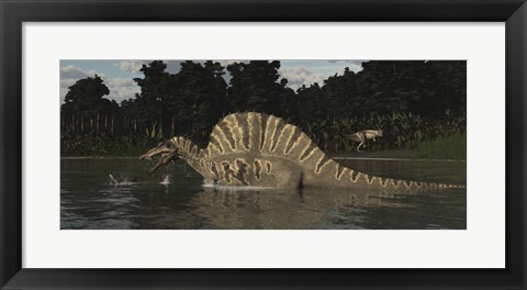 Framed Spinosaurus Hunting For Fish In A Lake Print