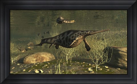 Framed Hupehsuchus Marine Reptiles Swimming In Triassic Waters Print