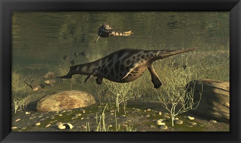 Framed Hupehsuchus Marine Reptiles Swimming In Triassic Waters Print