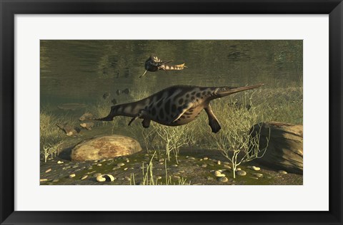 Framed Hupehsuchus Marine Reptiles Swimming In Triassic Waters Print