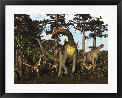 Framed Jobaria Dinosaur Is Menaced By Afrovenators In Jurassic North Africa Print