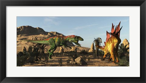 Framed Saurophaganax Dinosaur Attacks A Stegosaurus Print