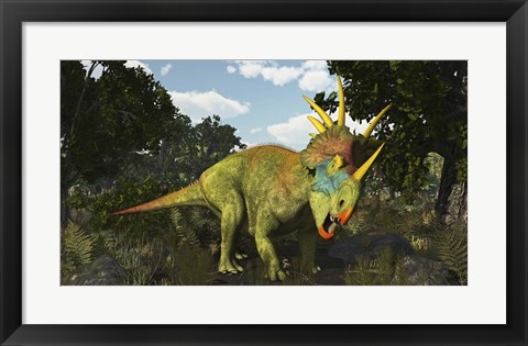 Framed Styracosaurus, A Horned Dinosaur Of The Late Cretaceous Print