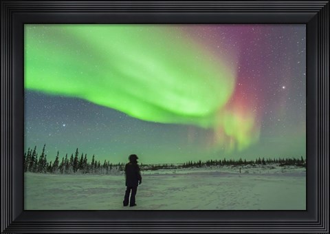 Framed Aurora borealis with Vega and Arcturus Stars, Manitoba, Canada Print