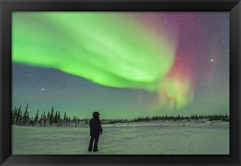 Framed Aurora borealis with Vega and Arcturus Stars, Manitoba, Canada Print