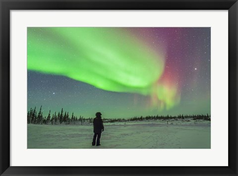 Framed Aurora borealis with Vega and Arcturus Stars, Manitoba, Canada Print