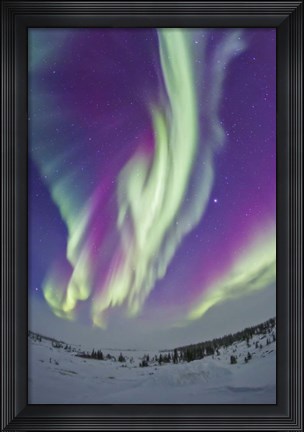 Framed Northern Lights in Churchill, Manitoba, Canada Print