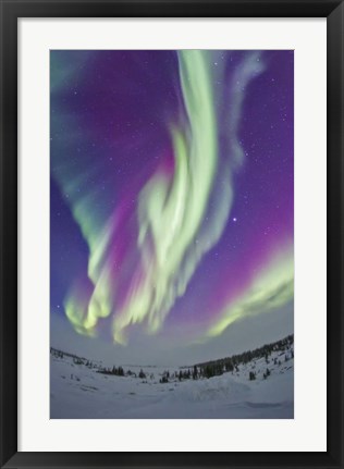 Framed Northern Lights in Churchill, Manitoba, Canada Print