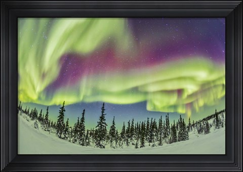 Framed Aurora borealis over Churchill, Manitoba, Canada Print