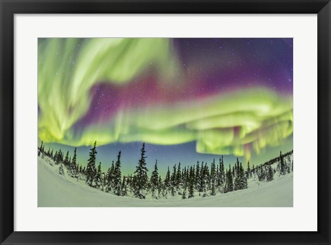 Framed Aurora borealis over Churchill, Manitoba, Canada Print