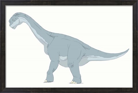 Framed Camarasaurus Print
