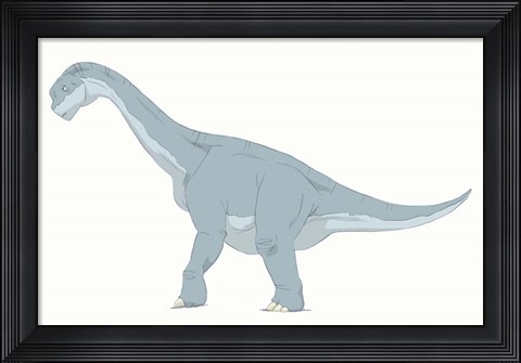 Framed Camarasaurus Print