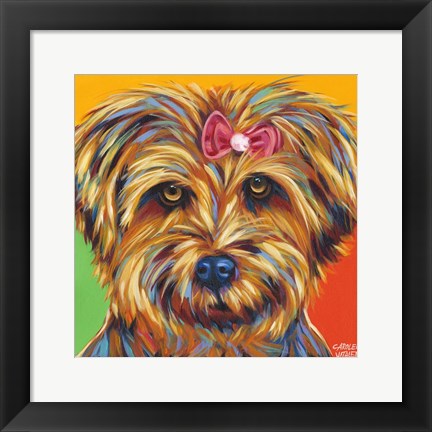 Framed Sweet Yorkie I Print