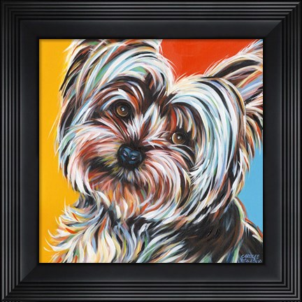 Framed Sweet Yorkie II Print