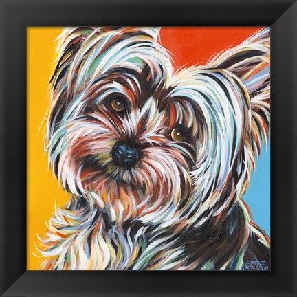 Framed Sweet Yorkie II Print