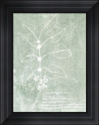 Framed Essential Botanicals I Print
