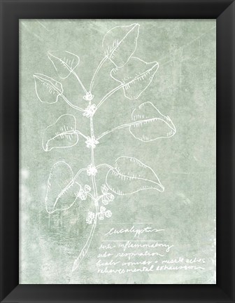 Framed Essential Botanicals I Print