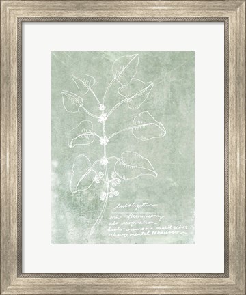 Framed Essential Botanicals I Print